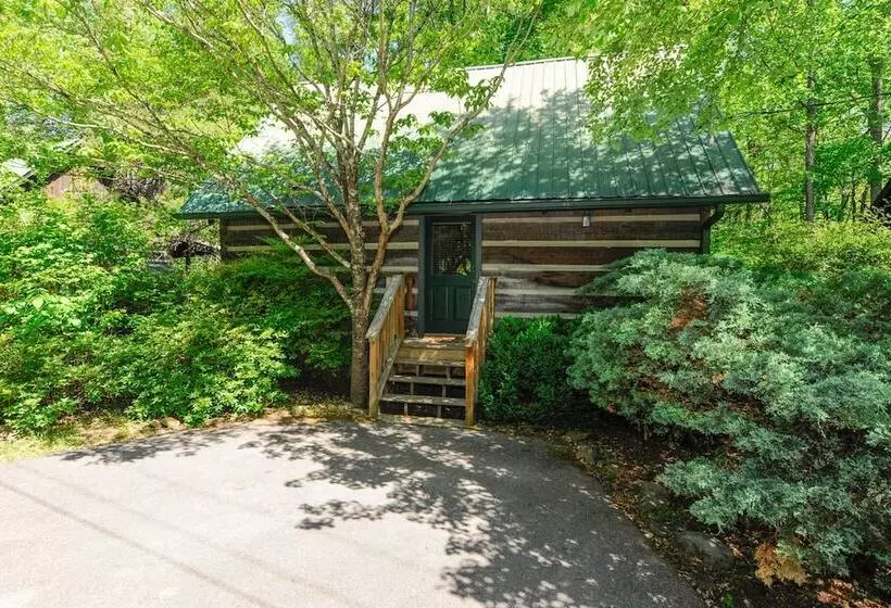 酒店 Dancing Bear Lodge