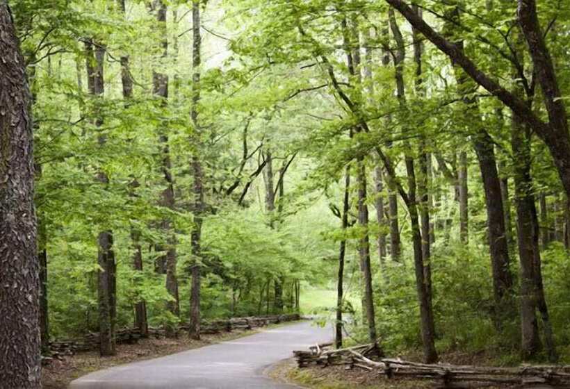 ホテル Dancing Bear Lodge