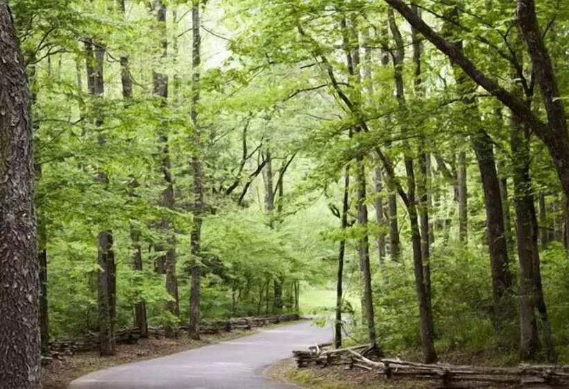 酒店 Dancing Bear Lodge