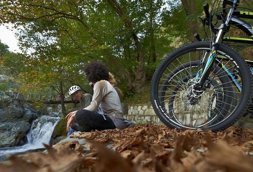 호텔 Dimosthenis Traditional Guesthouse