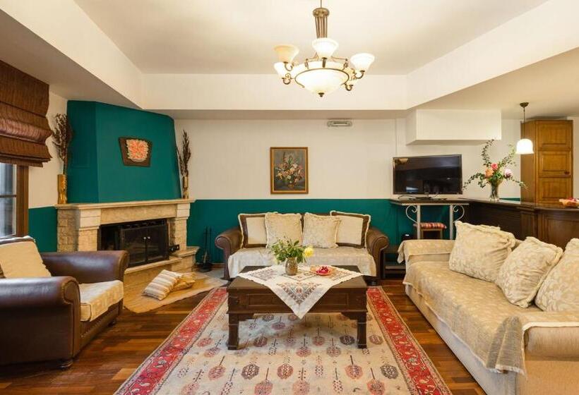 호텔 Dimosthenis Traditional Guesthouse