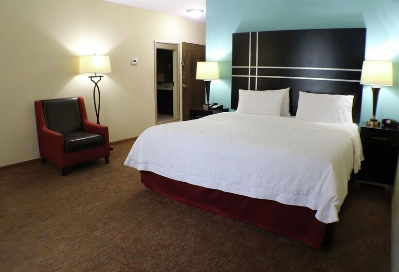 Hotel Hampton Inn Austin/oak Hill
