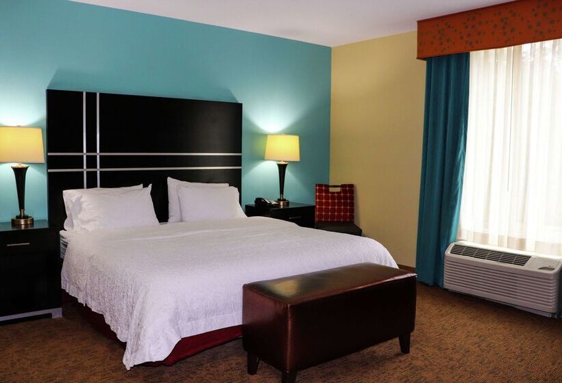 Hotel Hampton Inn Austin/oak Hill