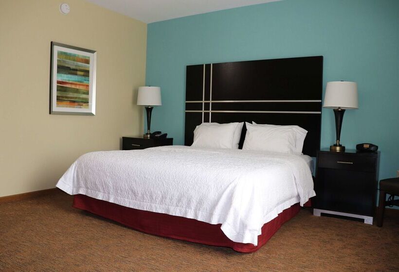 Hotel Hampton Inn Austin/oak Hill