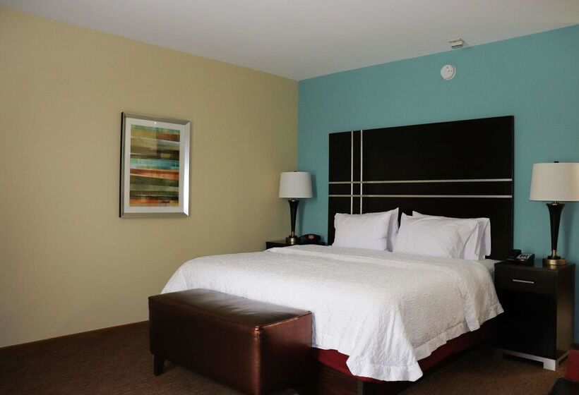 Hotel Hampton Inn Austin/oak Hill