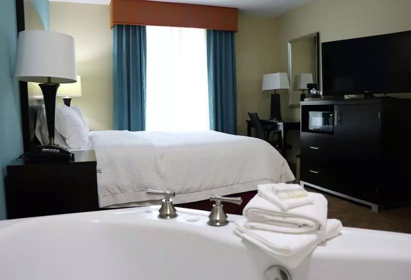 فندق Hampton Inn Austin/oak Hill