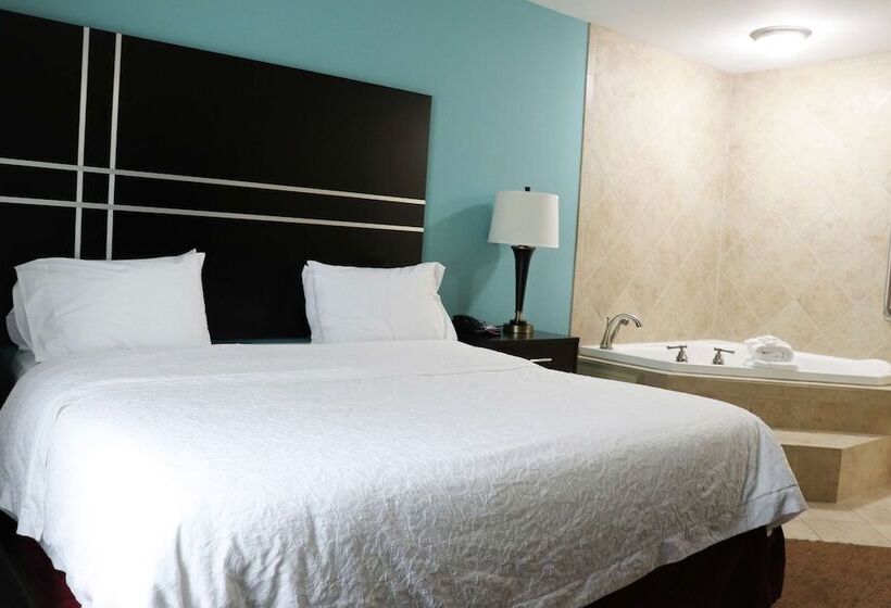 Hotel Hampton Inn Austin/oak Hill