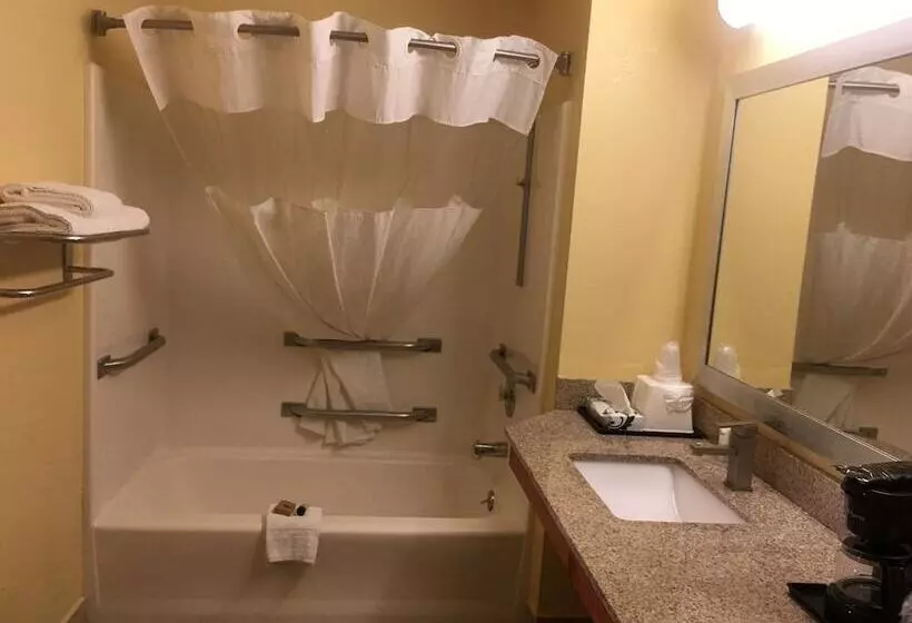 Отель Loyalty Inn Hawkinsville