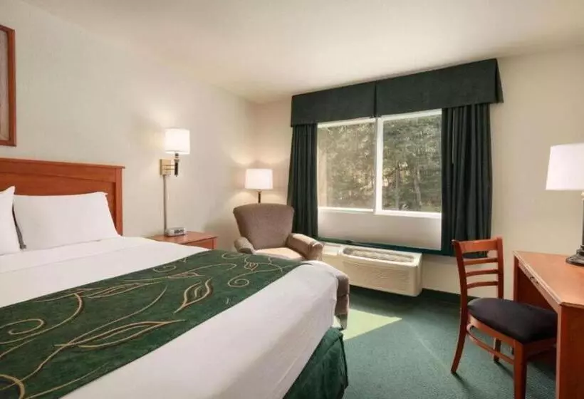 酒店 Travelodge By Wyndham Dunsmuir