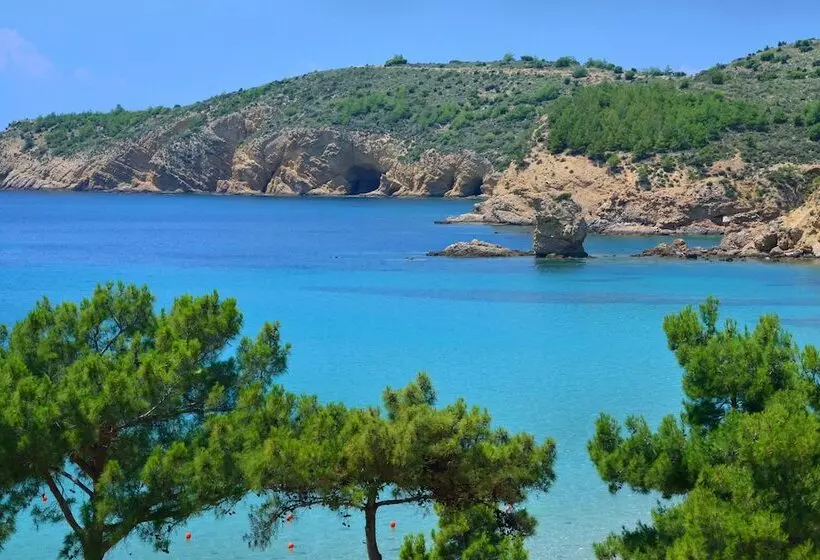 Royal Paradise Beach Resort & Spa