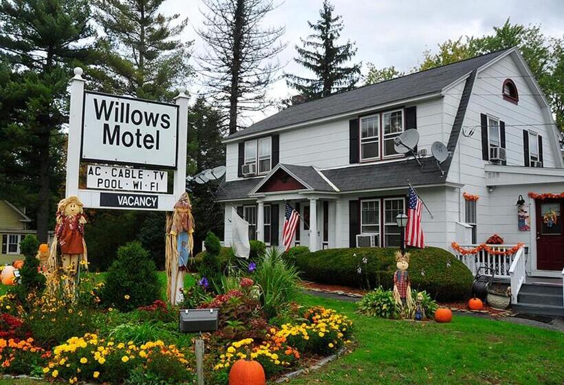 Willows Motel