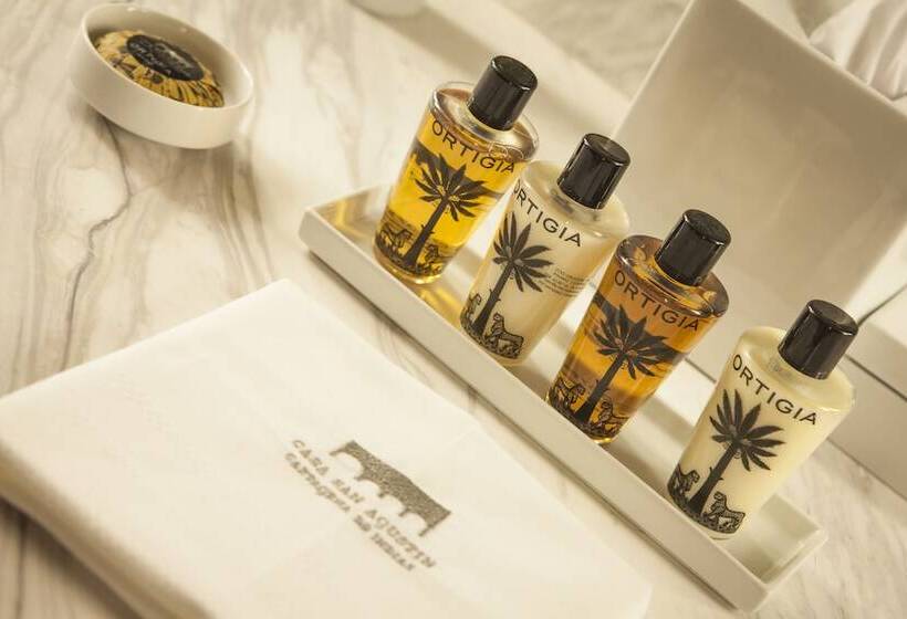 Hotel Casa San Agustin