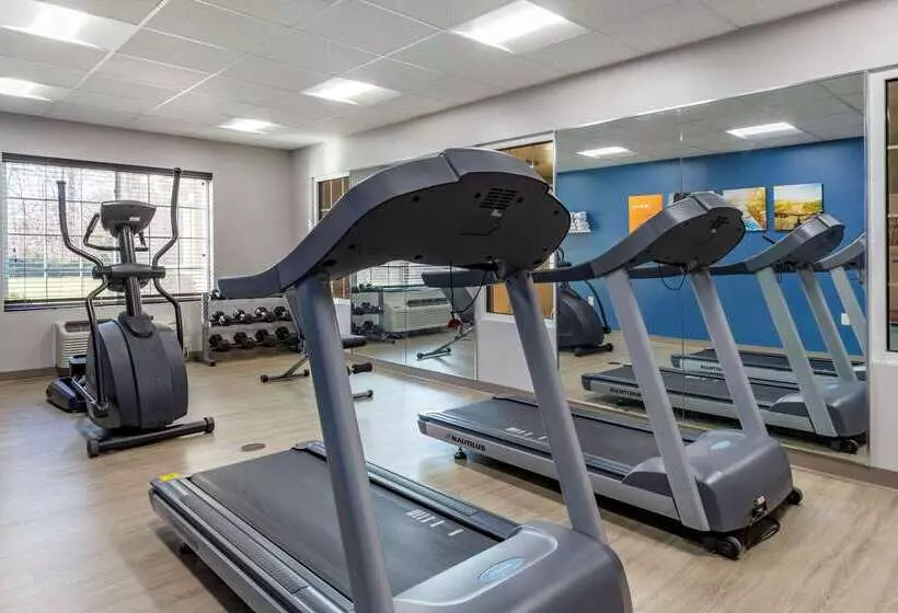 Отель Comfort Inn & Suites High Point  Archdale