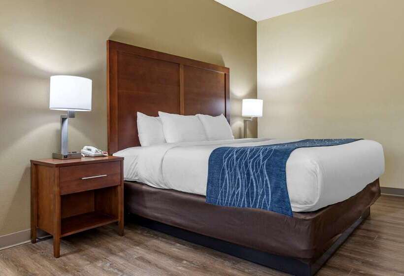 Otel Comfort Inn & Suites High Point  Archdale