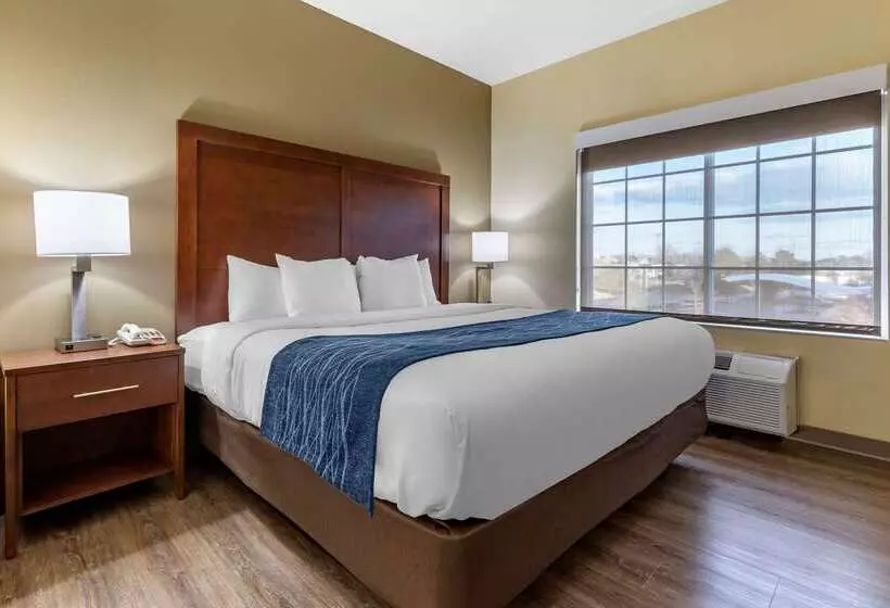Отель Comfort Inn & Suites High Point  Archdale