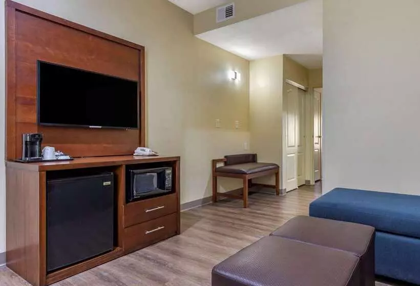 Отель Comfort Inn & Suites High Point  Archdale