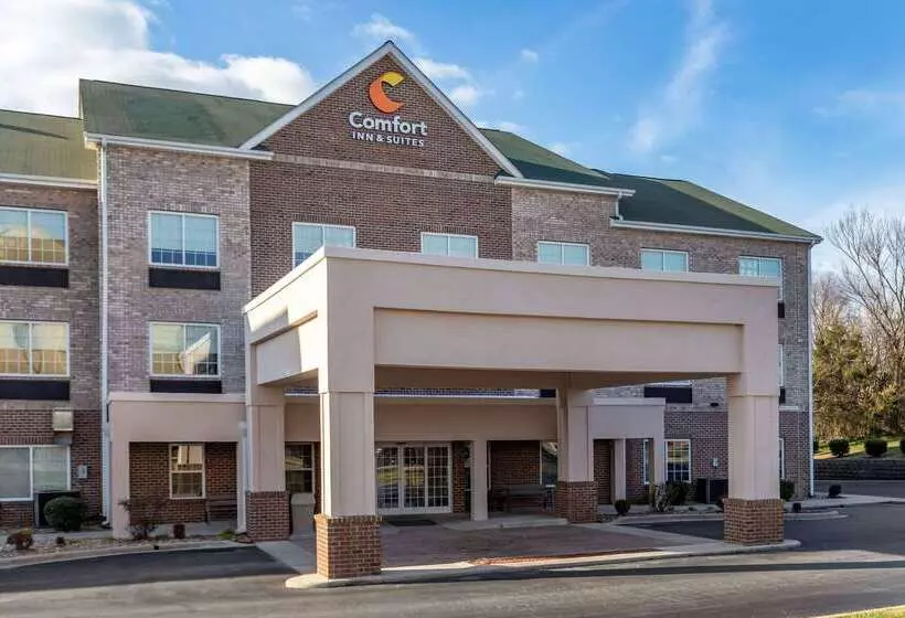 Отель Comfort Inn & Suites High Point  Archdale