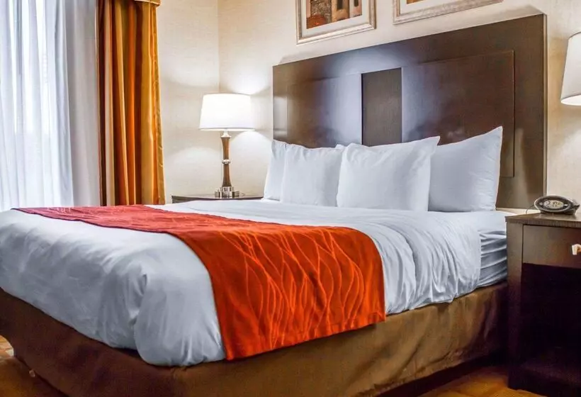 Отель Comfort Suites Edinboro