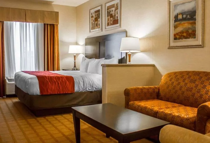 Отель Comfort Suites Edinboro