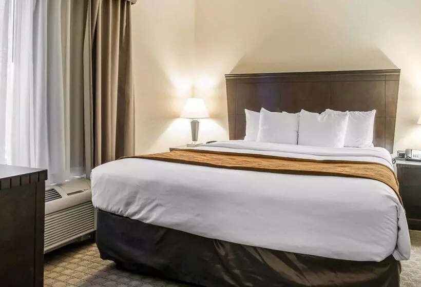 ホテル University Inn