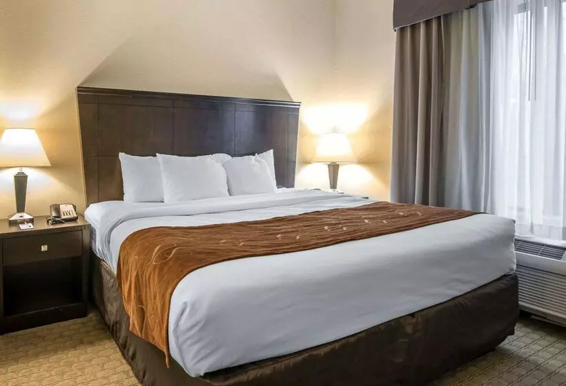 ホテル University Inn