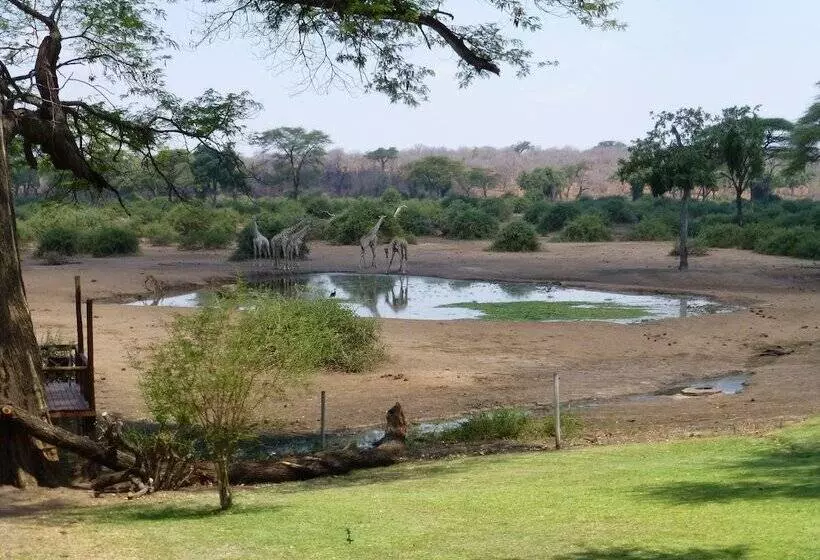 هتل Elephant Valley Lodge