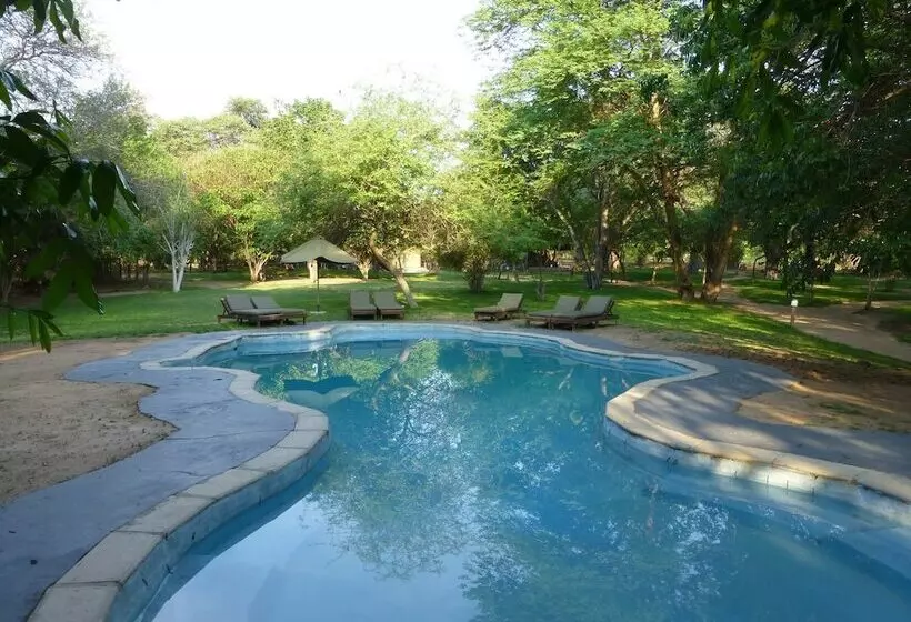 هتل Elephant Valley Lodge