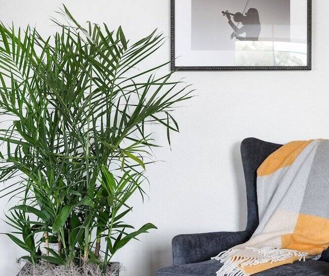 Elwood Hotel & Suites