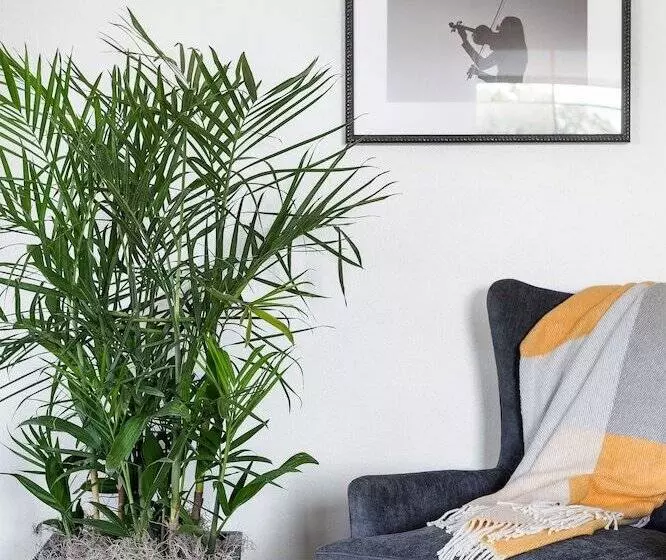 Elwood Hotel & Suites