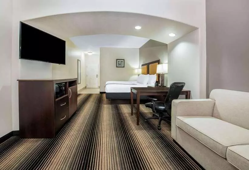 酒店 La Quinta By Wyndham Orange