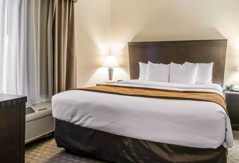 ホテル University Inn