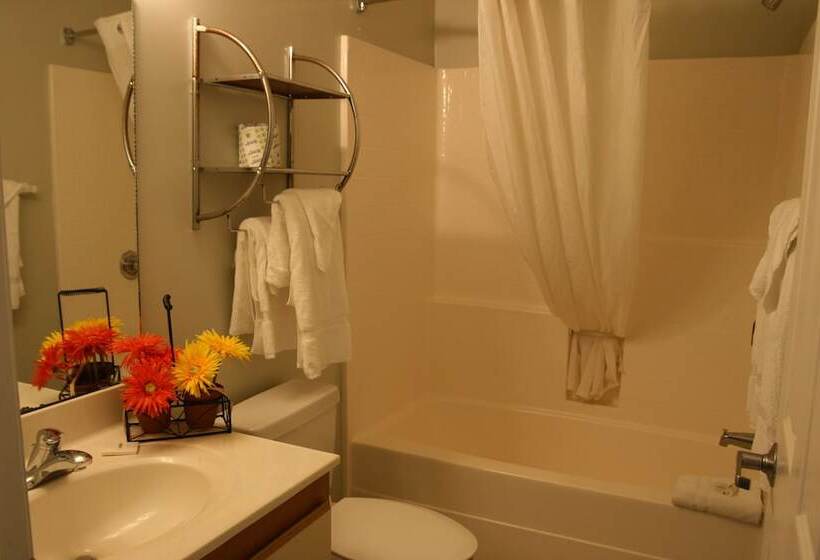 Affordable Suites Shelby