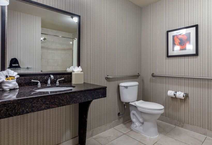 فندق Best Western Plus Dfw Airport West Euless