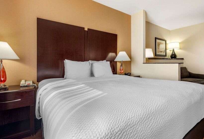 فندق Best Western Plus Dfw Airport West Euless