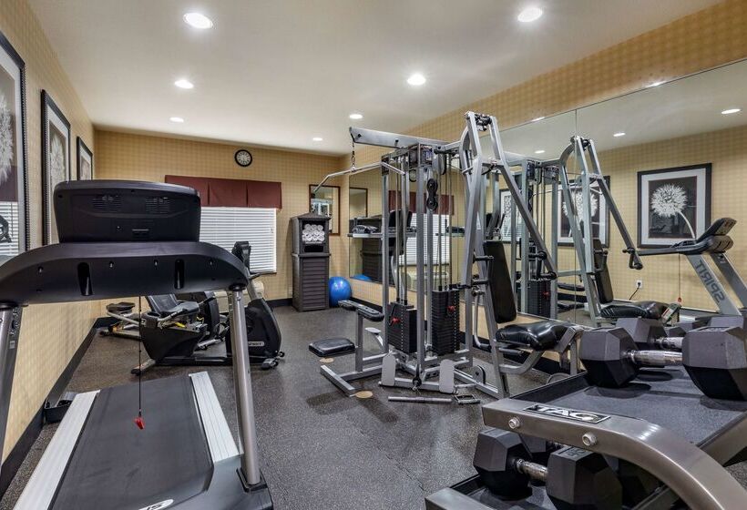 فندق Best Western Plus Dfw Airport West Euless