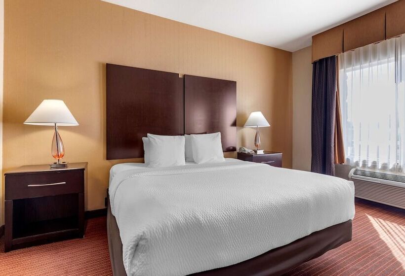 فندق Best Western Plus Dfw Airport West Euless