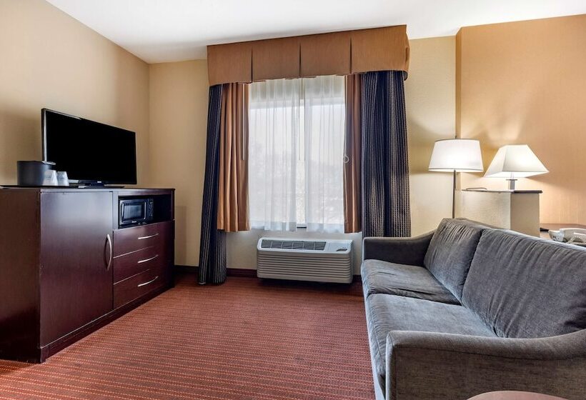 فندق Best Western Plus Dfw Airport West Euless