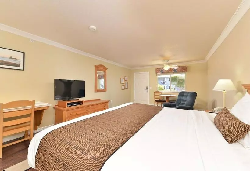 ホテル Cayucos Beach Inn