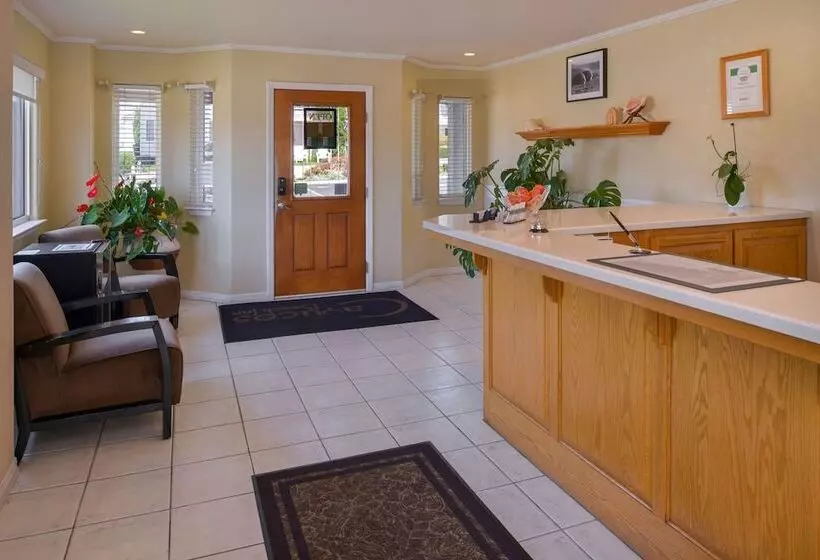 ホテル Cayucos Beach Inn