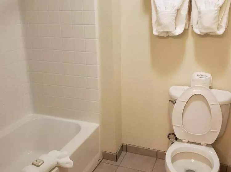 ホテル Cody Legacy Inn & Suites