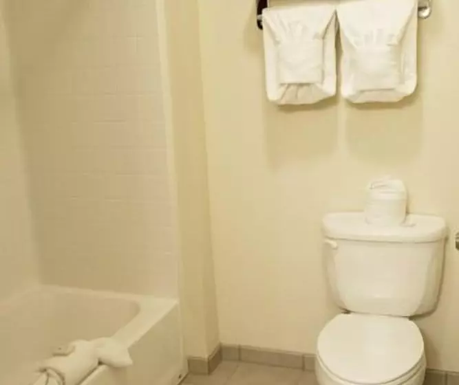 ホテル Cody Legacy Inn & Suites