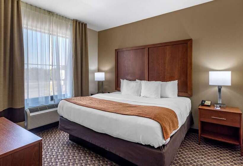 호텔 Comfort Inn & Suites Atokamillington