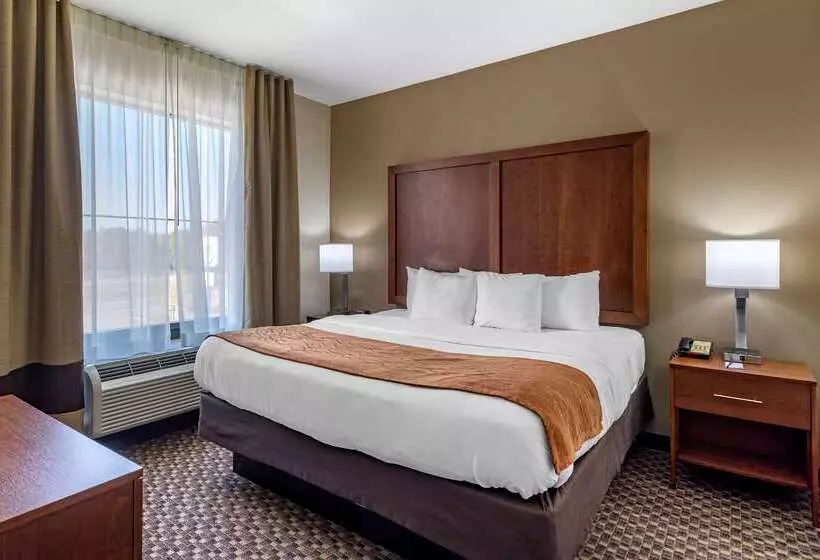 Отель Comfort Inn & Suites Atokamillington