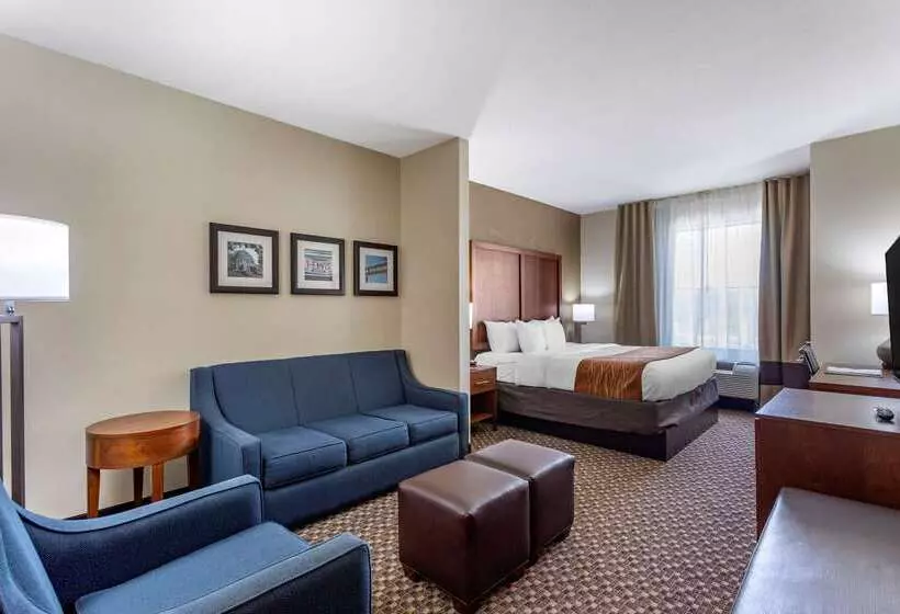 Отель Comfort Inn & Suites Atokamillington