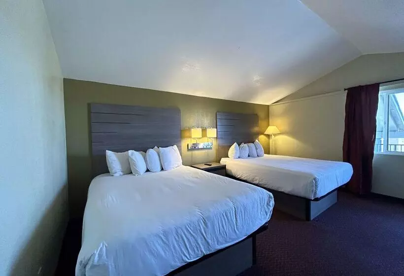 호텔 Surestay By Best Western Chambers Petrified Forest