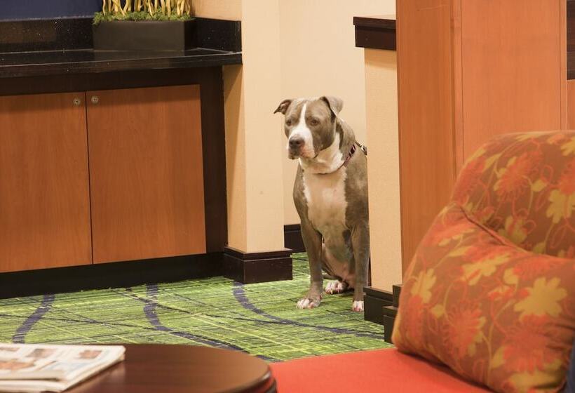 Отель Fairfield Inn & Suites By Marriott Texarkana