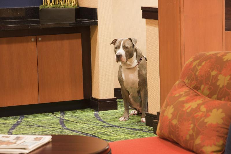 Отель Fairfield Inn & Suites By Marriott Texarkana