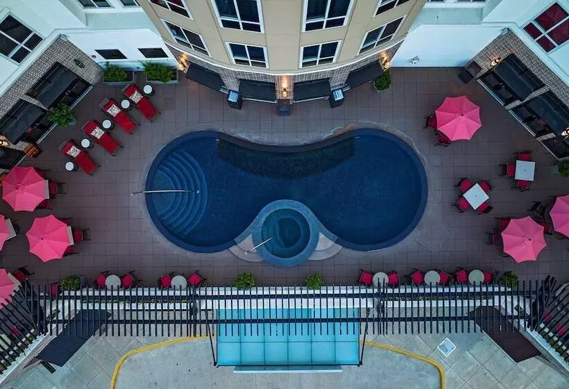 酒店 Hyatt Centric The Woodlands