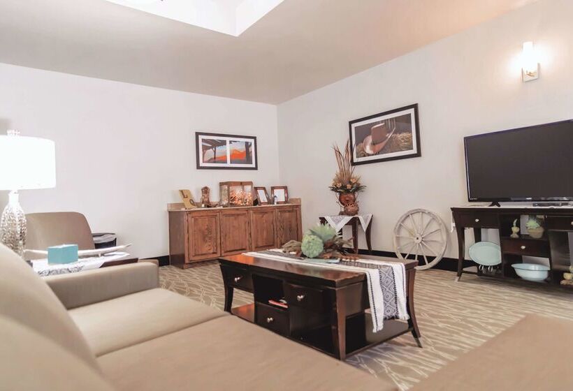 בית מלון כפרי La Quinta By Wyndham Dumas