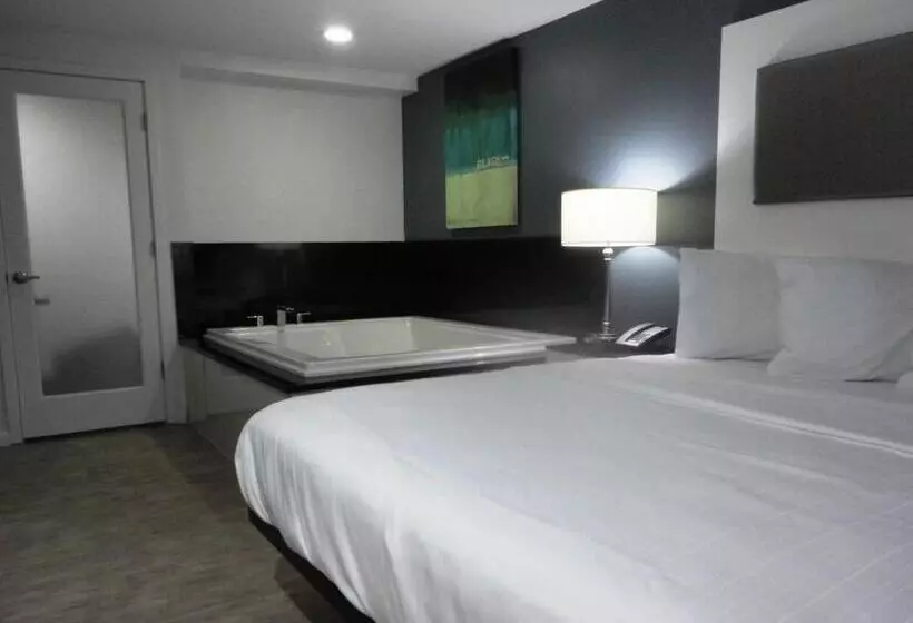 호텔 Lotus Boutique Inn And Suites